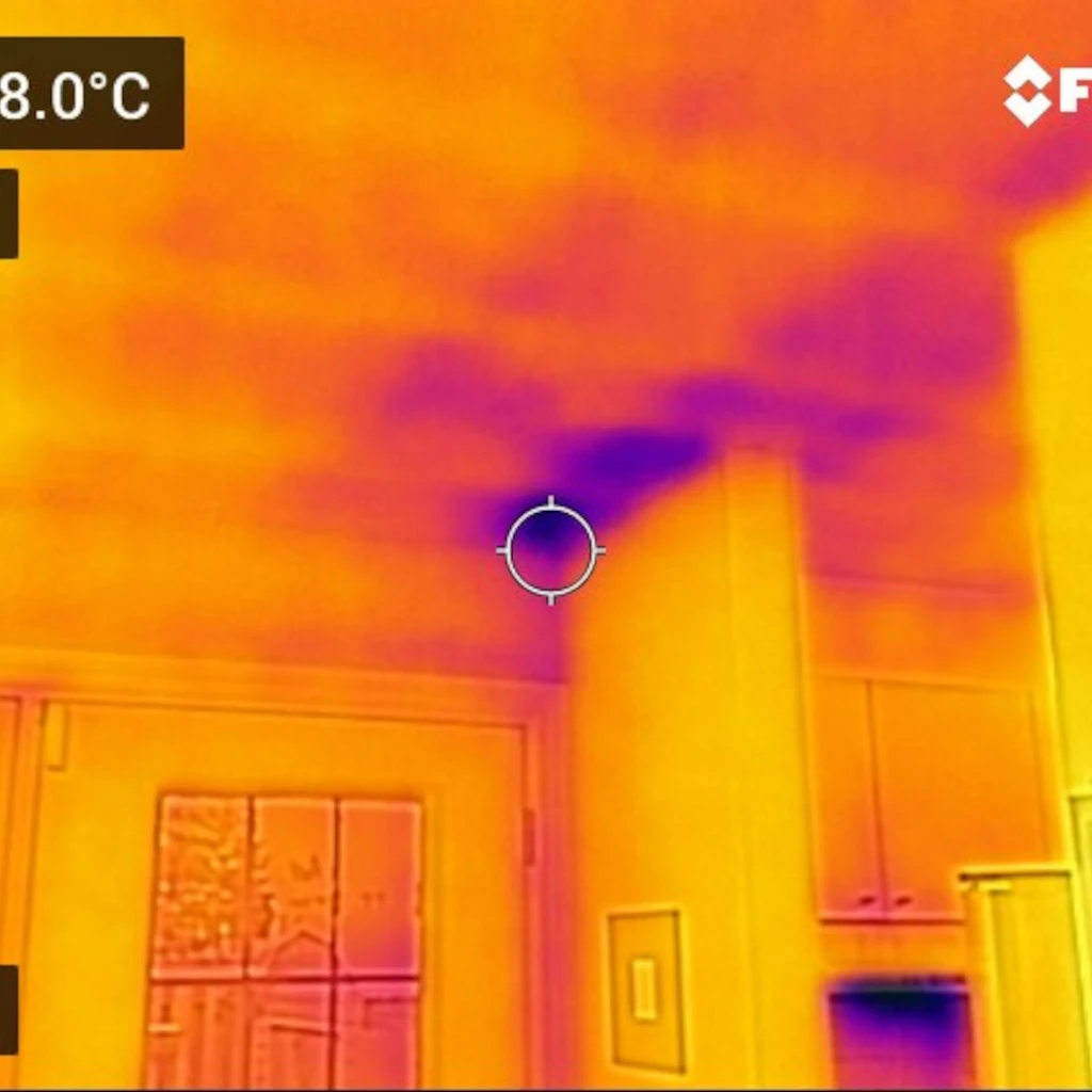 flir0029